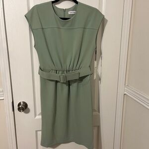 Calvin Klein NWT Dress size 6